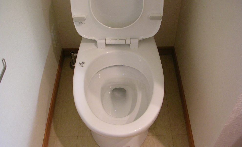 トイレ掃除は毎日たったの3分！プロが自宅で実践する方法伝授