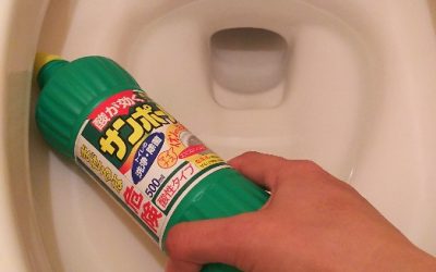 トイレ掃除は毎日たったの3分 プロが自宅で実践する方法伝授